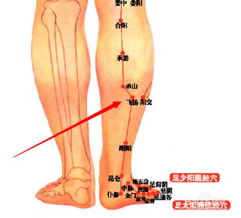 飛揚穴位置|人體穴位大全——飛揚穴：頭痛、腰膝酸痛、癲癇、腳氣等